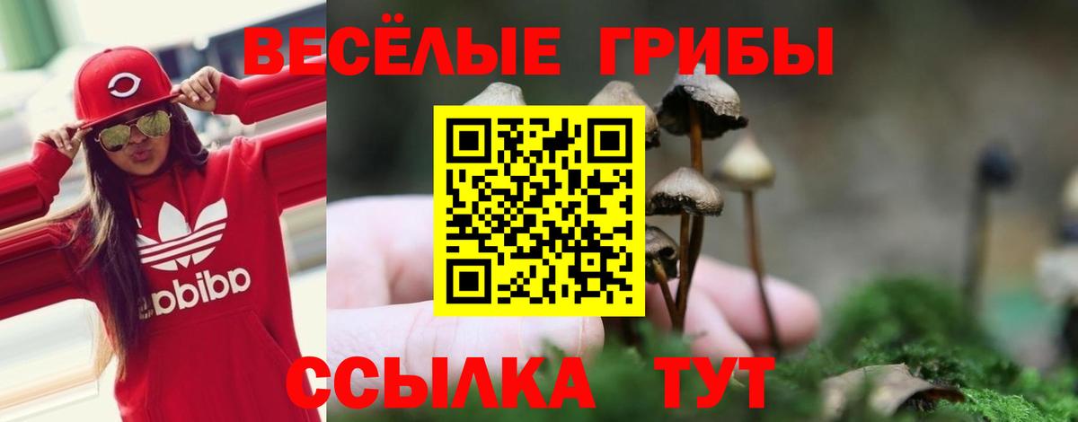 Бахчисарай  Псилоцибиновые грибы прущие грибы  Вход с VPN  Галлюциногенные грибы GOLDEN TEACHER 